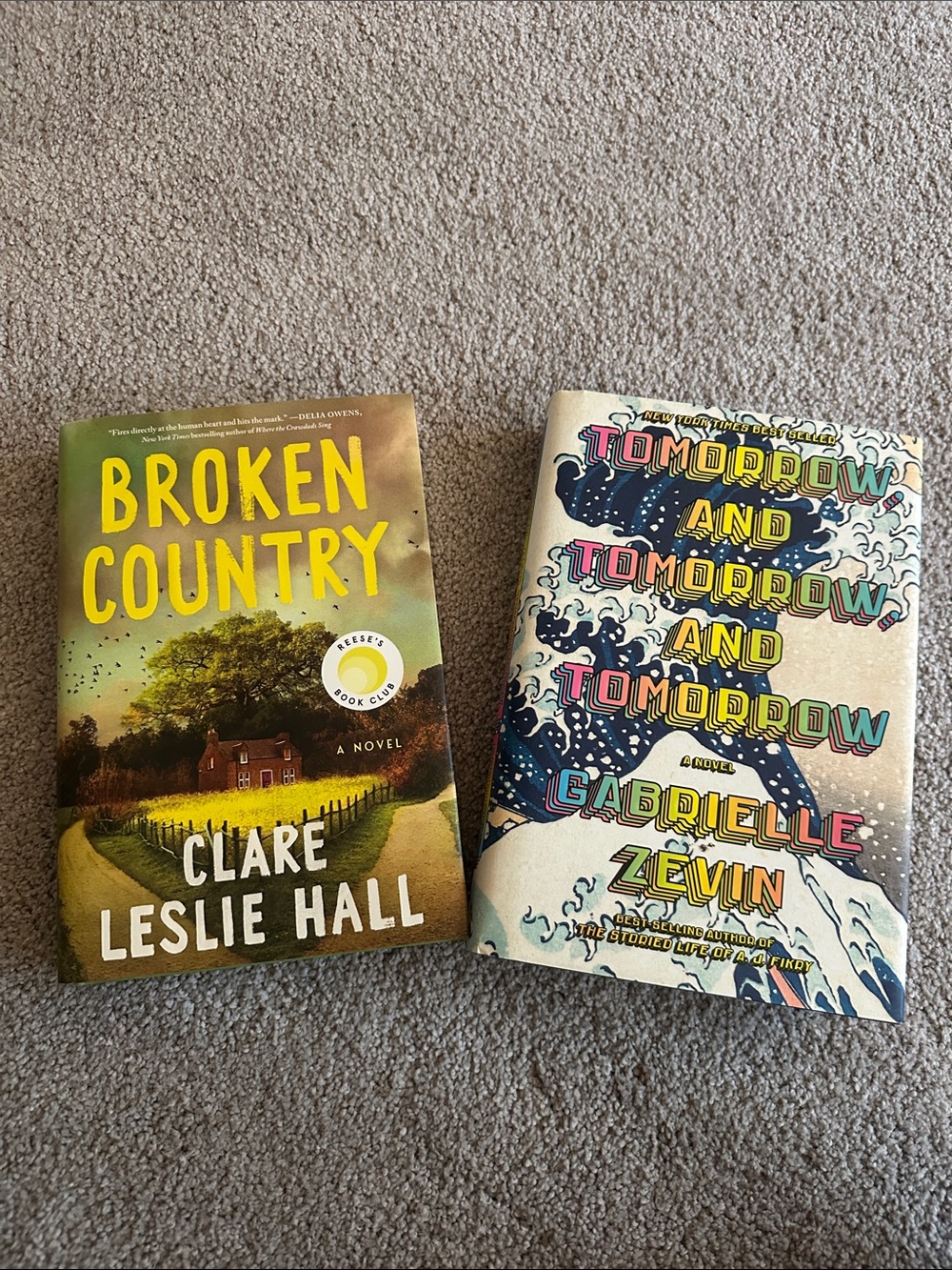 Broken Country & Tomorrow and Tomorrow and Tomorrow - Two Hardcover Novels
